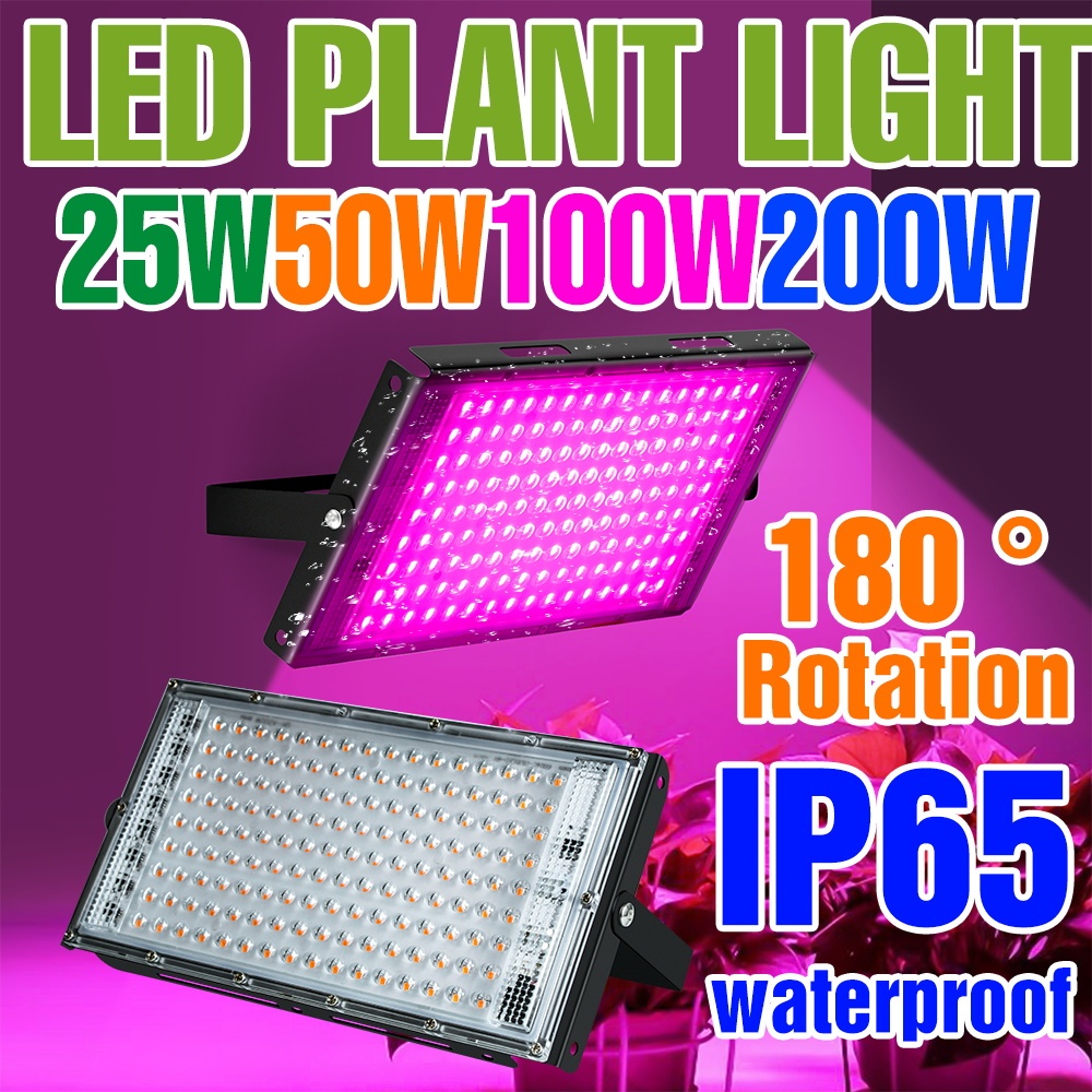 Đèn LED trồng cây xanh 200W 220V Full Spectrum IP65 100W Lều nhà kính Thủy canh 50W Đèn lấp đầy màu 