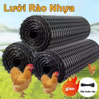 Lưới nhựa dẻo chất lượng cao 1m / 1.2m / 1.5m / 1.8m / 2m 2cm và 3x4cm vuông - Lý tưởng cho hàng rào sân vườn, lồng và rào cản thú cưng