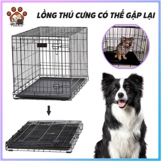 [TRAY MIỄN PHÍ] Lồng chó mèo sơn tĩnh điện có thể gập lại Lồng chó giá rẻ S / M / L / XL