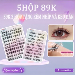  【5 hộp 89k Mi giả có sẵn keo – Dáng cong chữ C sợi mảnh tái sử dụng được 15 kiểu dáng –Tặng Kèm Nhíp Và Keo 