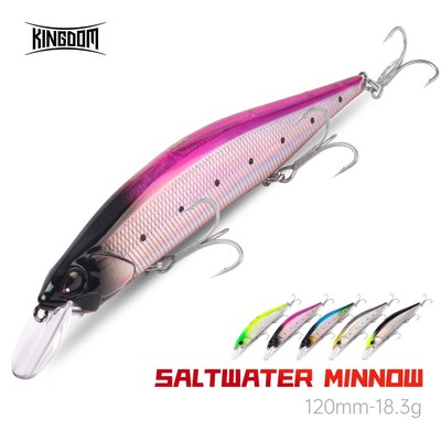Kingdom Mồi Câu Cá Nước Mặn Minnow 120mm 18.3g Chậm Nổi / Chìm ABS Mồi Cứng Wobblers Thiết Kế Cơ Thể Hợp Lý Khoảng Cách Đúc Siêu Dài Cho Biển Bass Pike