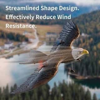 Rc Máy Bay Mô Phỏng Wingspan Máy Bay Đại Bàng 2.4G Điều Khiển Vô Tuyến Từ Xa Xốp Máy Bay Glider Bé Trai Quà Tặng Đồ Chơi Cho Trẻ Em