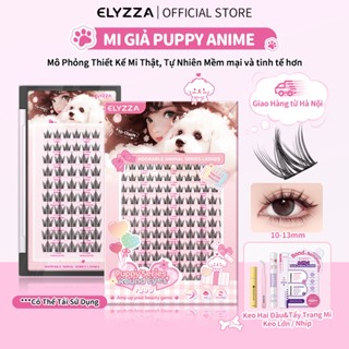 [Hà Nội] Mi Giả Anime Mi Cụm Puppy (10-13mm), ELYZZA C+ Cong Lông Mi Giả Tự Nhiên, Mi Cụm Dễ Sử Dụng, Nối Mi Ăn Ảnh, Mi Sợi Có Thể Sử Dụng Được Nhiều Lần