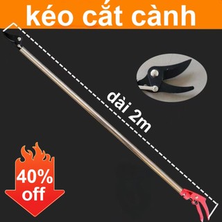  Kéo cắt tỉa cành cao chuyên nghiệp - dụng cụ làm vườn chất lượng cao để cắt tỉa cây cảnh và cắt tỉa cành cao 