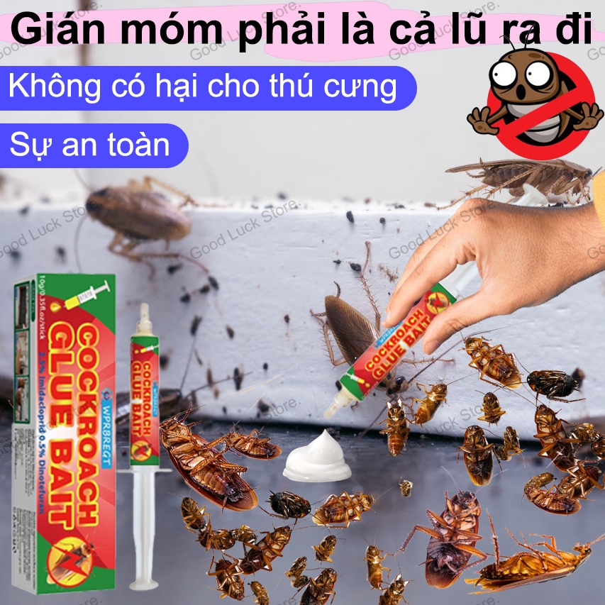 Giải quyết gián cả ổ diệt gián diệt gián diệt gián sinh học đuổi gián viên diệt gián nhật bản 