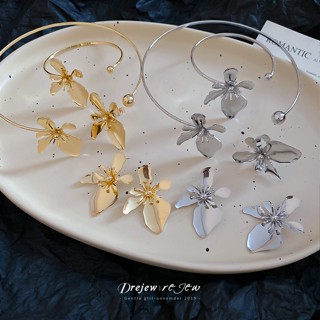 Dây Chuyền và Bông Tai Kim Loại Màu Bạc, Phong Cách Avant-Garde, Thích Hợp Thời Trang Runway