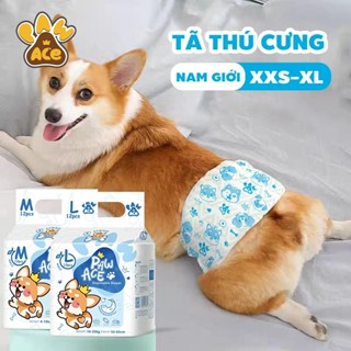 12 gói tã cho chó đực cái mèo cưng chó con XXS XS S M L XL