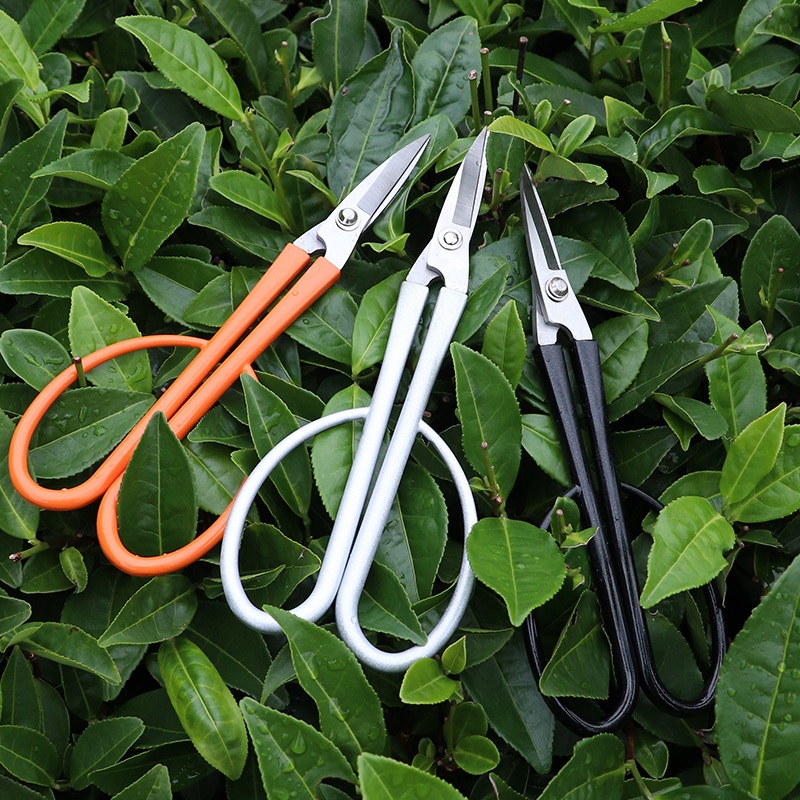 Geesong Kéo cắt tỉa cây cảnh bằng thép không gỉ Geesong — dùng cho lá, hoa lan và cắt tỉa chính xác