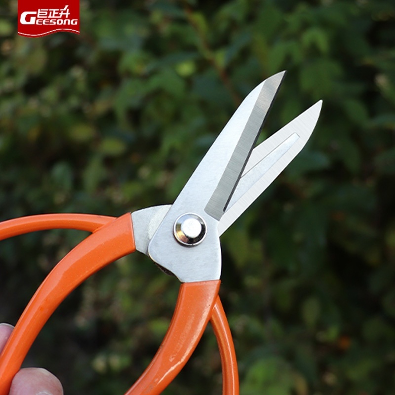 Kéo hoa bền và sắc nét phong cách cổ đại Geesong | Cắt tỉa & Cắt tỉa đa năng