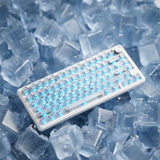 XVX Ice Cube Clear Keycaps Chất liệu PBT màu trắng / đen / tím Cherry Profile để chơi game & văn phòng Quà tặng lý tưởng Tương thích với tất cả các công tắc MX Bộ Keycap bàn phím cơ (119 phím)