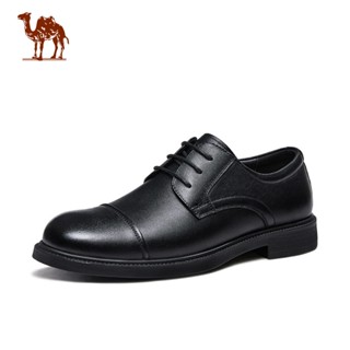 CAMEL CROWN Nam Da Thật Chính Hãng Giày Công Sở Trang Phục / Giày Cưới