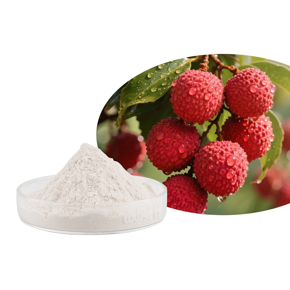 Thực Phẩm Hữu Cơ Bột Trái Cây Lychee Litchi Juice Powder Bột Lychee