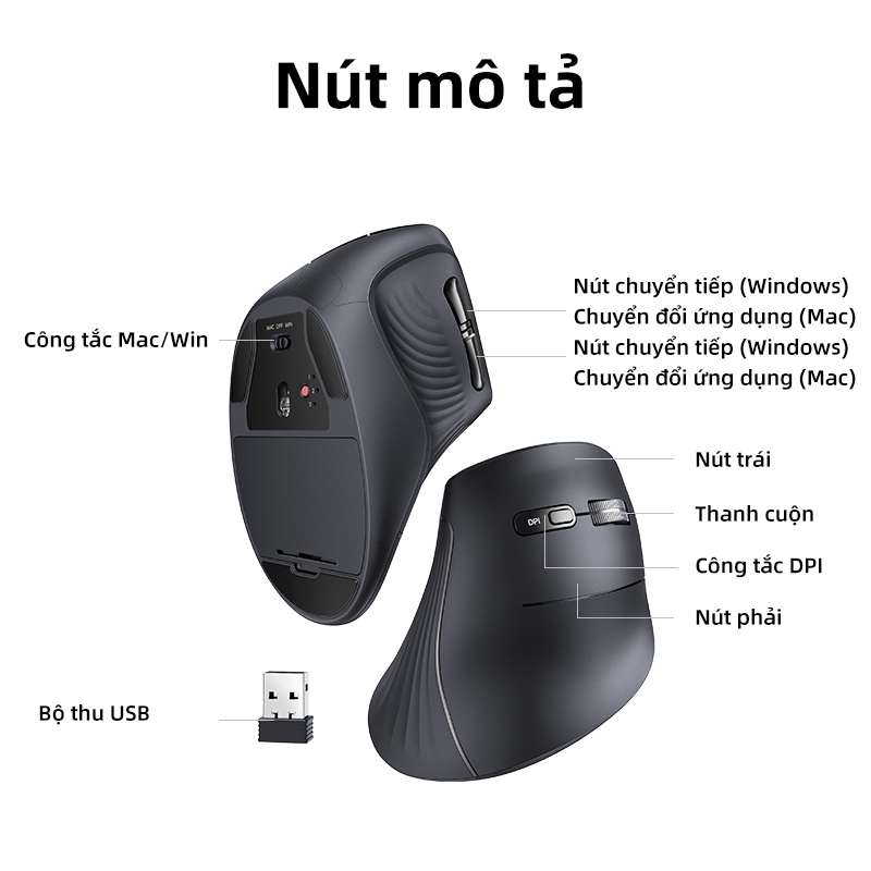 Chuột dọc không dây UGREEN  2.4G | BigBuy360 - bigbuy360.vn