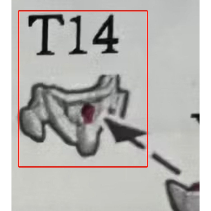 Phụ tùng đồ tể kỳ lân CD 2201 MGEX