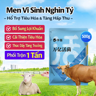 "Men Vi Sinh Nghìn Tỷ 500g - Hỗ Trợ Tiêu Hóa & Tăng Hấp Thu | Phối Trộn 1 Tấn | Hàng Có Sẵn tại Việt Nam"