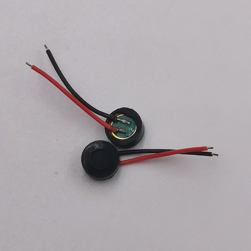 5-20 Chiếc Bên Trong Mic Loa Thu Phát Cho Jiayu G1 G2 G3 G2S G2C G3S G3T G3C Elephone C1 Mini A8 G2 