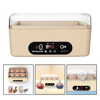 Máy ấp trứng Mini Máy ấp trứng thông minh tự động Máy ấp trứng điện cho gà Chim vịt ngỗng Trứng nhỏ Máy ấp trứng