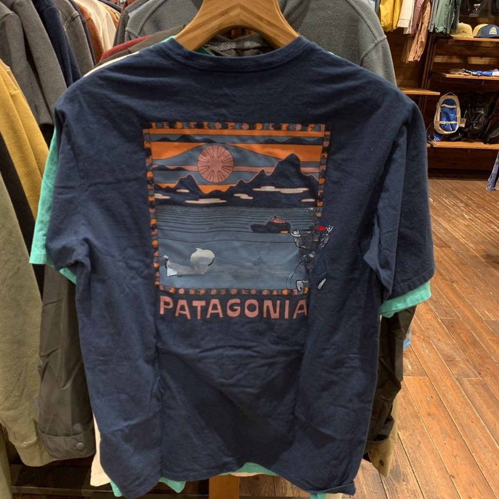 Áo thun nam Cotton ngắn tay Patagons Summit Swell hữu cơ bán chạy