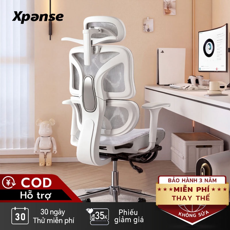 Ghế công thái học Xpanse W203 Vải Ice Silk mát lạnh , Tấm đệm đỡ thắt lưng độc lập | ghế xoay văn phòng | ghế làm việc | BigBuy360 - bigbuy360.vn