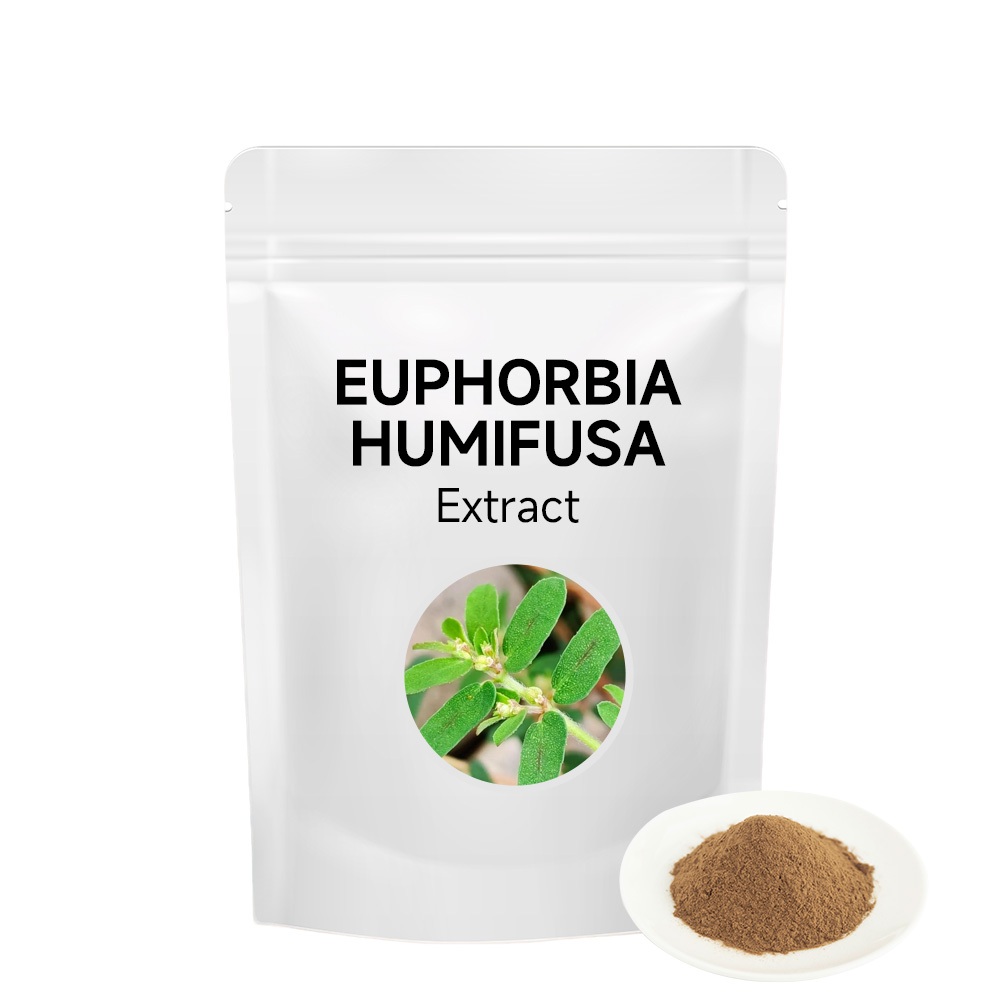 Độ tinh khiết cao hòa tan trong nước 10: 1 Euphorbia Humifusa Extract Euphorbia tự nhiên