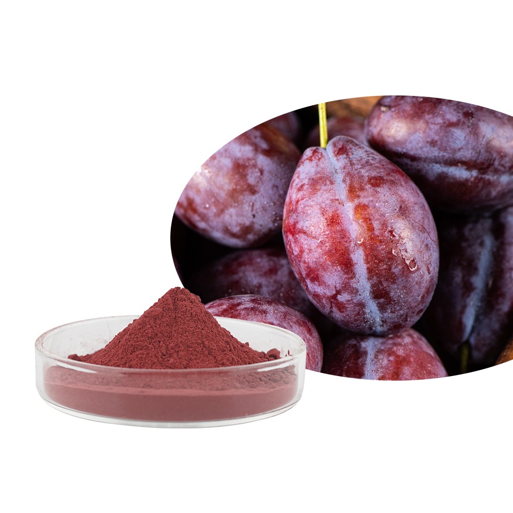 Nhà máy Cung cấp Bột trái cây Prune Bột nước ép Prune tự nhiên 500g / 1000g