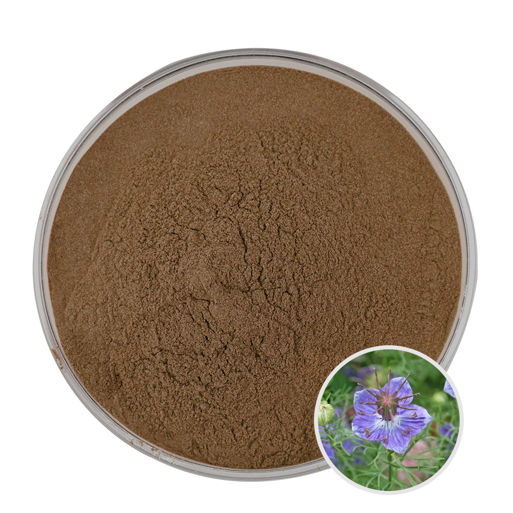 Nhà Máy Cung Cấp Chất Lượng Cao Nigella Sativa Đen Cumin Seed Extract Natural 10: 1 Đen Cumin Extrac