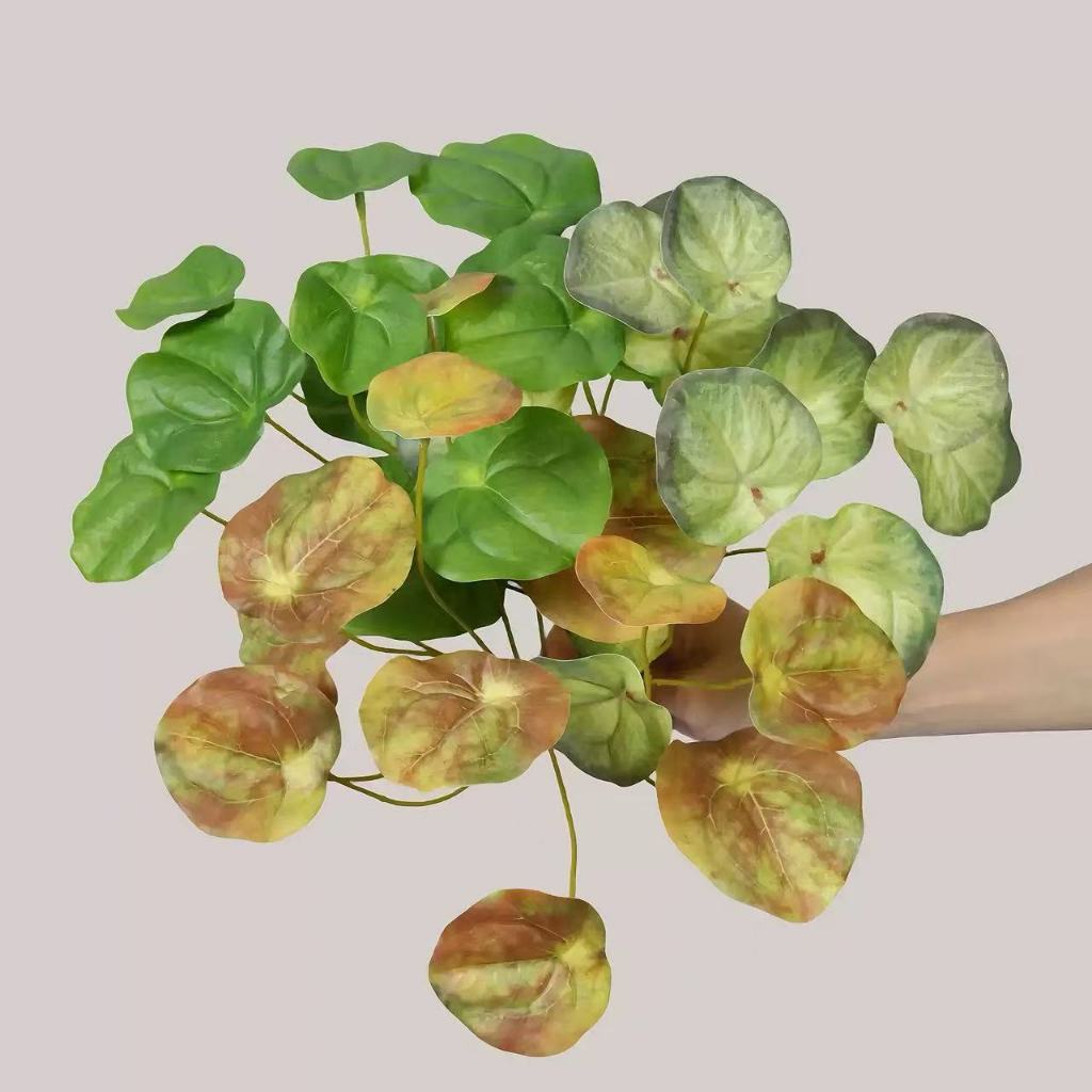 Gói Pilea Peperomoides nhân tạo, Trang trí sân ngoài trời ban công trong nhà
