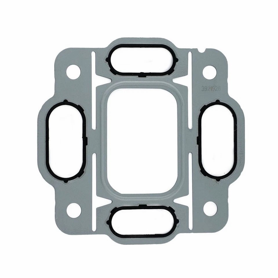 Gioăng 3921926 3905033 3916300 Dành cho động cơ Cummins ISC ISC ISL 4B3.9 6B5.9