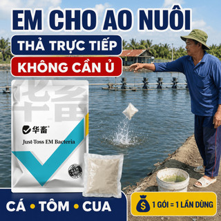 EM VI SINH CHO AO NUÔI – XỬ LÝ NƯỚC, GIẢM MÙI HÔI, THẢ TRỰC TIẾP