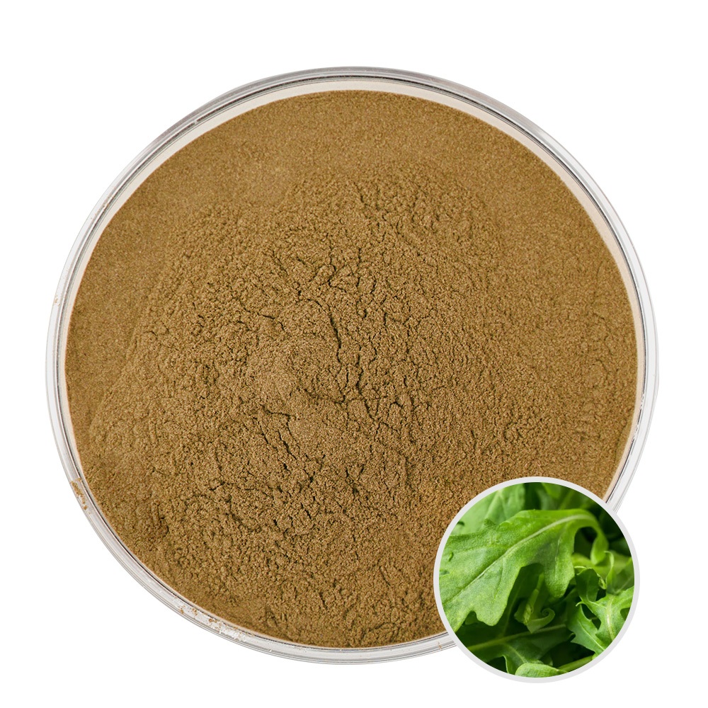 Bột chiết xuất Arugula Eruca Sativa chất lượng cao