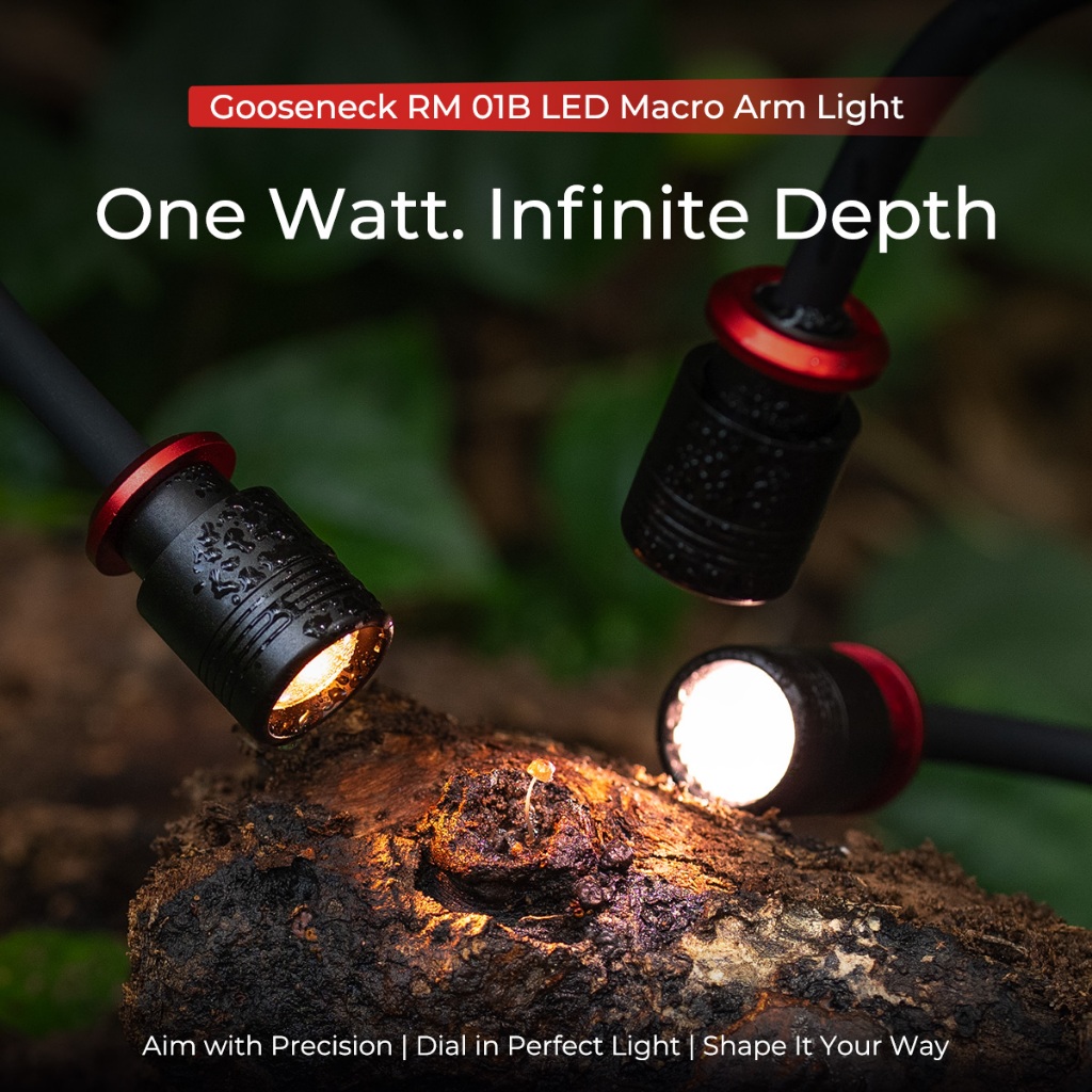 Đèn LED chụp ảnh Macro SmallRig RM 01B 6225