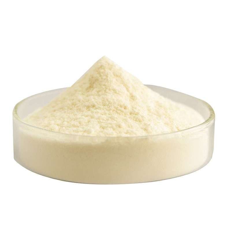 Bột hoa hướng dương cấp thực phẩm Chiết xuất hạt hướng dương 95% Lecithin hướng dương