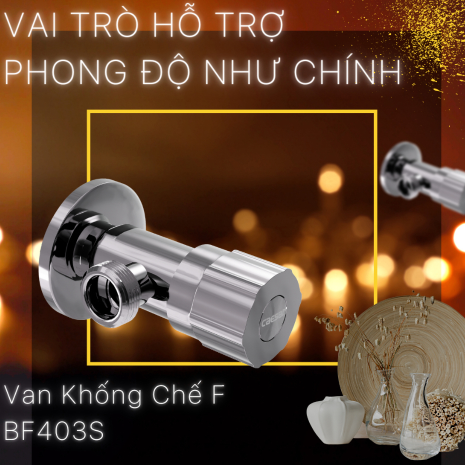 Van điều khiển - BF403S