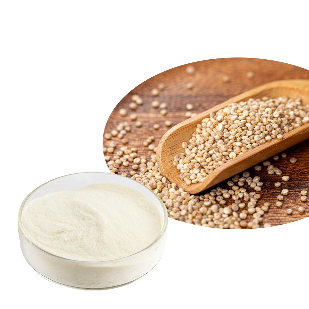 Bột Protein Quinoa Thủy Phân Tự Nhiên 80% Protein Quinoa Thủy Phân
