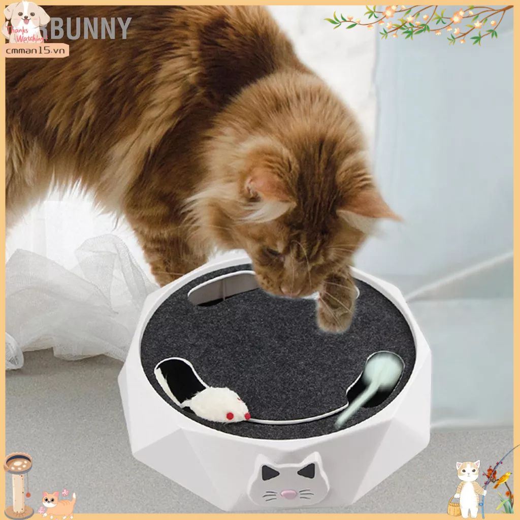 Phổ biến Tương Tác Mèo Bàn Xoay Điện 2 Tốc Độ Điều Chỉnh Tự Động Xếp Hình Bắt Chuột Chơi Đồ Cho Thú Cưng