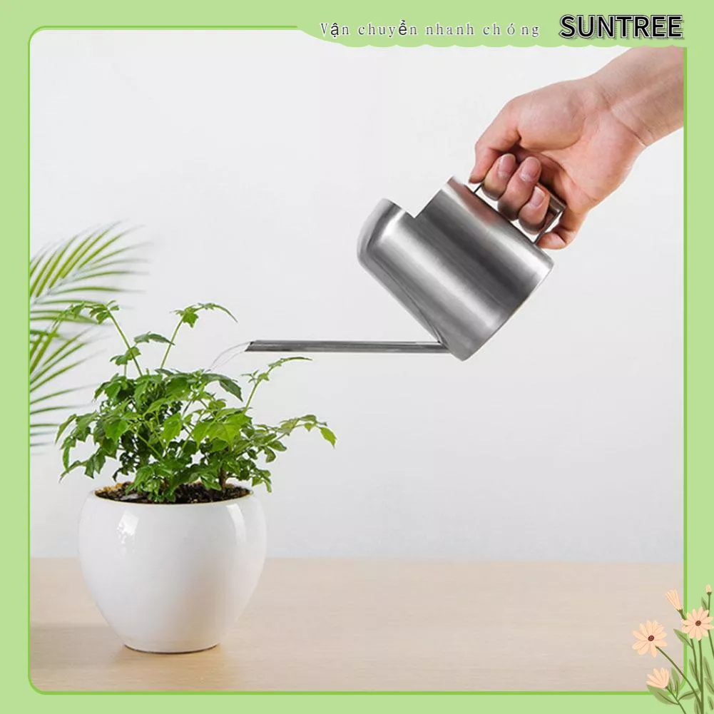 SUNTREE Bình tưới cây vòi dài bằng thép không gỉ 300ML cho dụng cụ cảnh gia đình màu xanh lá