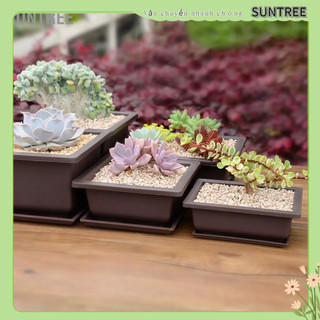Chậu hoa giả gốm sứ với khay -chậu ốp - nhiều hình dạng và kích cỡ suntree