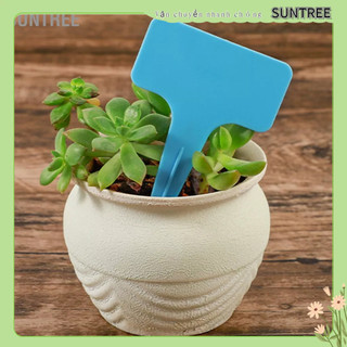 Suntree 20 chiếc chữ t vườn nhãn làm dày vật có thẻ phân loại thực ký