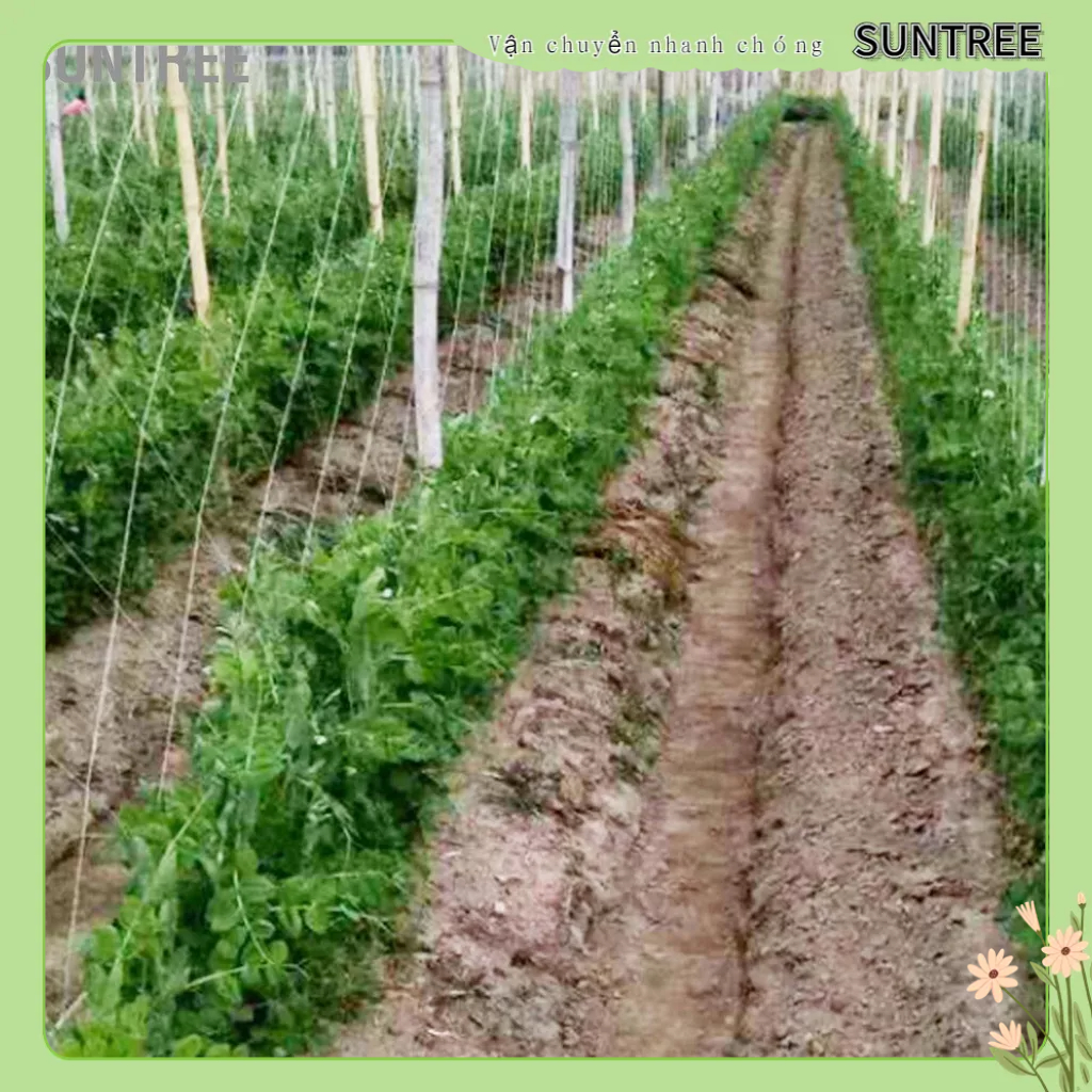 SUNTREE Lớn Lưới Trellis Vật Có Leo Vườn Rau Hỗ Trợ Hạt Đậu Dưa Cây Nho