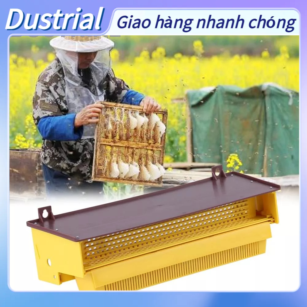 Bẫy phấn hoa bằng nhựa màu vàng có thể tháo rời với khay thông gió Công cụ nuôi ong Dustrial I.