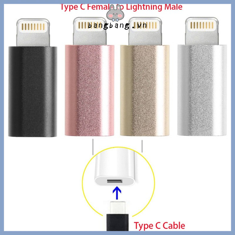 USB Type C Female To 8-Pin Lightning Male Converter Adapter For iPhone iPad iPod