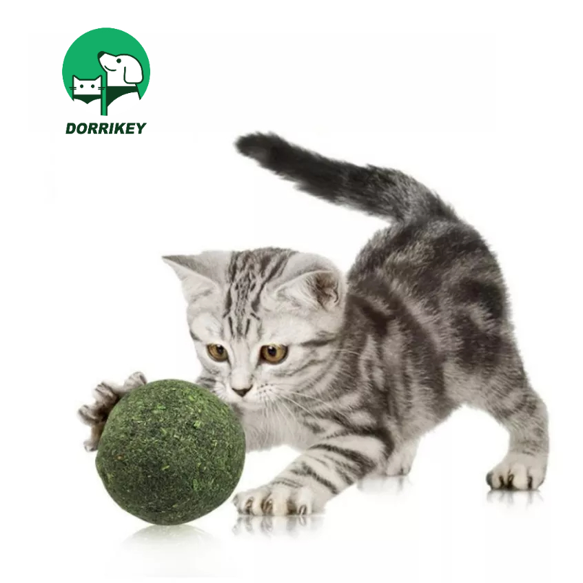 Bóng cỏ catnip DORRIKEY giảm stress cho mèo 20gr làm sạch răng LI0161