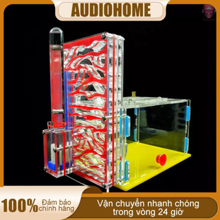 Nhà Nuôi Kiến Tự Lắp Ráp Cho Thú Cưng
