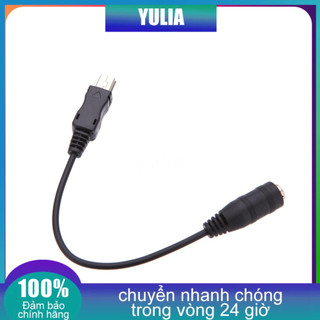 Dây cáp chuyển đổi Mini USB sang Mic Microphone 3.5mm cho GoPro HD Hero 1 2 3 3 + 4 Camera