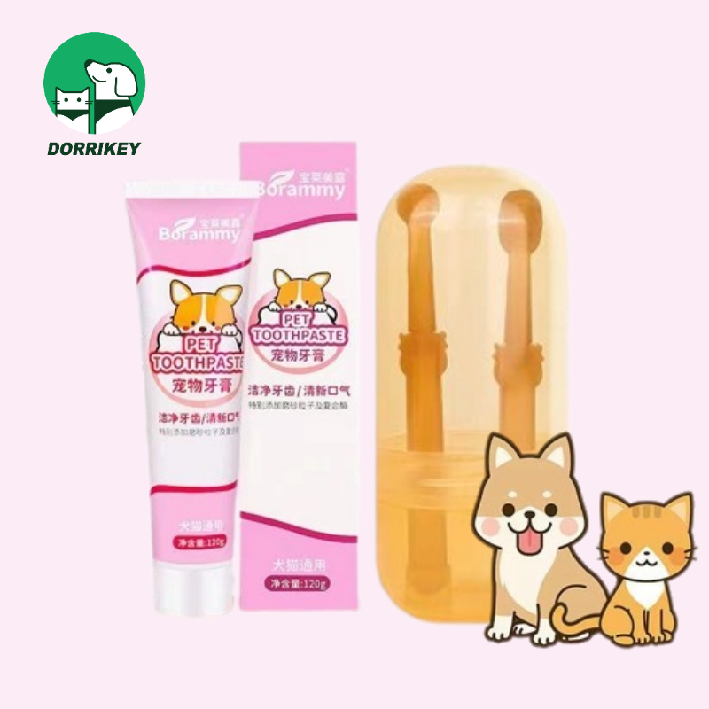 Bộ kem và bàn chải đánh răng thú cưng DORRIKEY vệ sinh răng miệng cho chó mèo