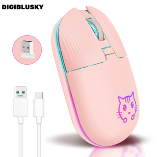 DIGIBLUSKY Chuột không dây 2.4ghz type-c rgb
