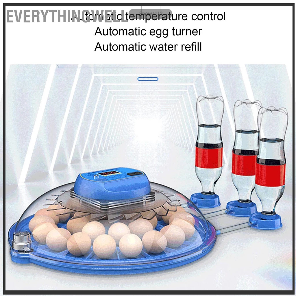 EverythingWell 26 Máy ấp trứng Màn hình LED Clear View Auto Egg Turner
