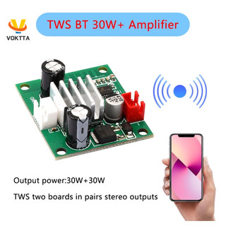 Bảng Mạch Khuếch Đại Âm Thanh bluetooth 30w 30w tws dc 8-24v Cho Loa subwoofer