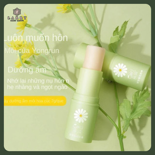 Son Dưỡng Môi Chiết Xuất Hoa Cúc Dưỡng Ẩm Làm Mềm Môi 7g Hiệu Cizi