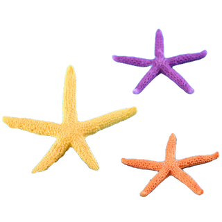 1 đồ trang trí sao biển mini bằng nhựa resin thủ công diy trang trí tiểu cảnh mới